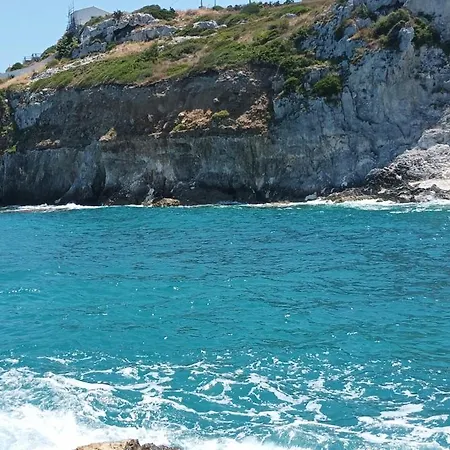 Little Paradise Augusta