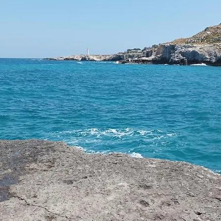 Little Paradise * Augusta