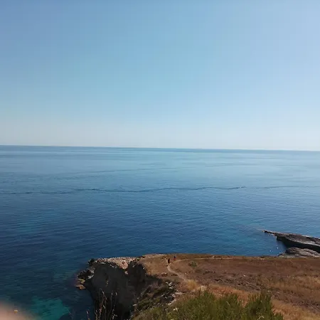 Little Paradise Augusta
