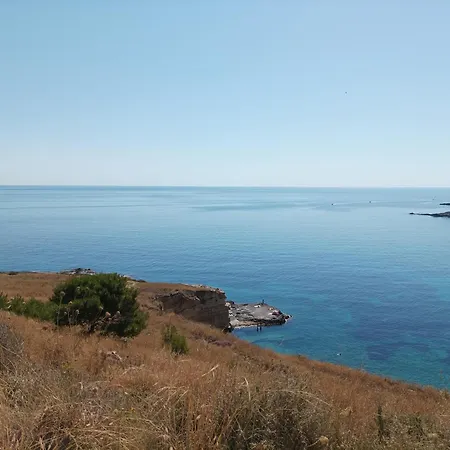 Little Paradise * Augusta
