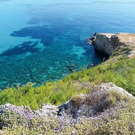 Little Paradise Augusta